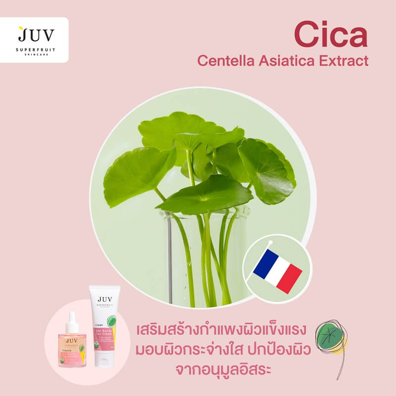 Juv Skin Barrier Cica Cream