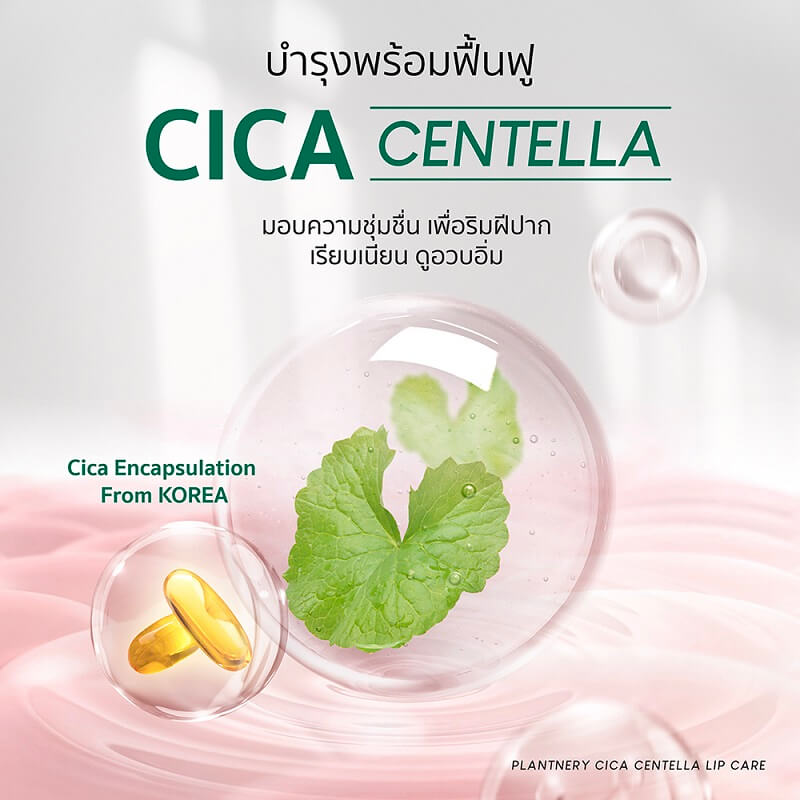 Plantnery Cica Centella Natural Lip Balm