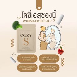 Cozy S