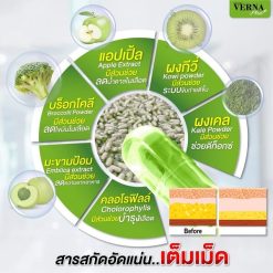 Verna Plus