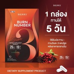 Merry Burn Number03