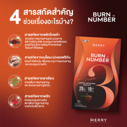 Merry Burn Number03
