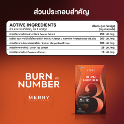 Merry Burn Number03