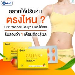 Yanhee Callyn Plus
