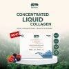 BioActive+ Concentrated Liquid Collagen