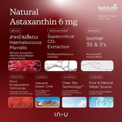 In U AstaNext+
