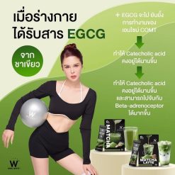 Wink White Matcha Latte