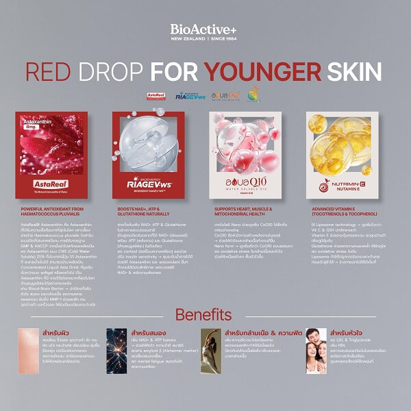 BioActive+ Concentrated Liquid Asta Drink - Image 12
