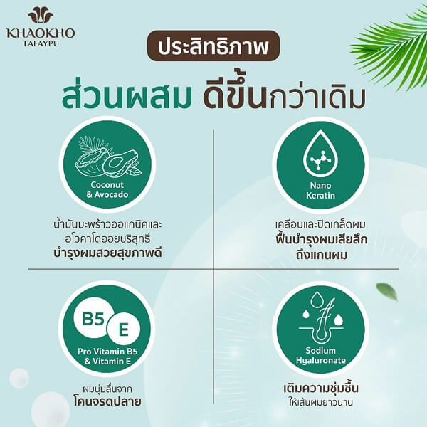 Khaokho Talaypu Shampoo Coconut & Avocado - Image 7