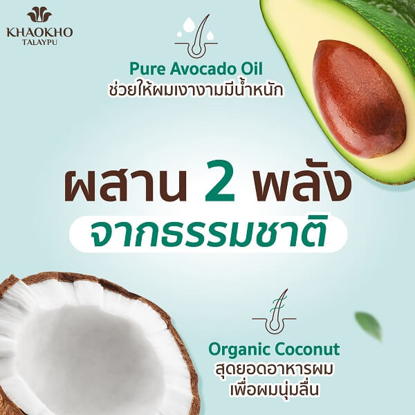 Khaokho Talaypu Shampoo Coconut & Avocado - Image 8