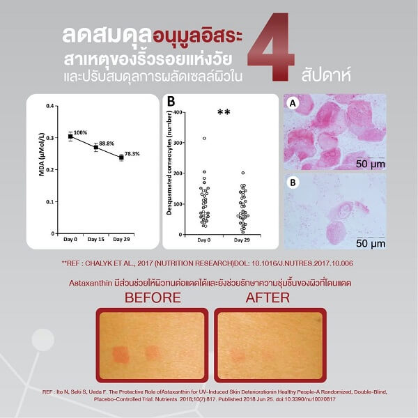 Chame Asta Grapeseed ND+ - Image 10