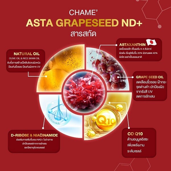 Chame Asta Grapeseed ND+ - Image 4