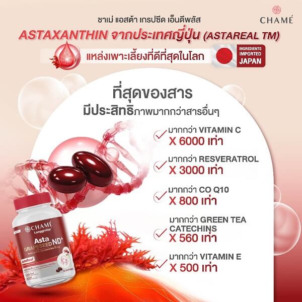 Chame Asta Grapeseed ND+ - Image 8