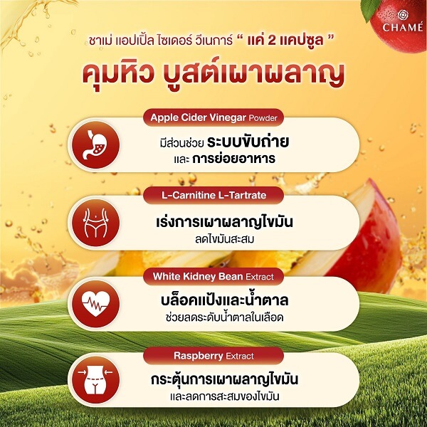Chame Longgivitar Apple Cider S Vinegar - Image 9