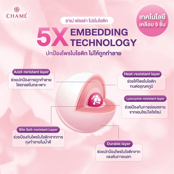 Chame Flora Probiotics - Image 10