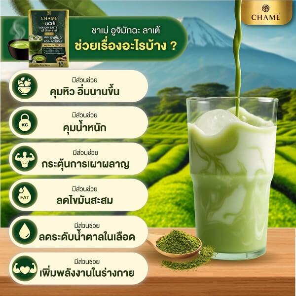 Chame Uchi Matcha Latte - Image 11
