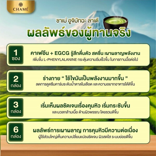 Chame Uchi Matcha Latte - Image 6