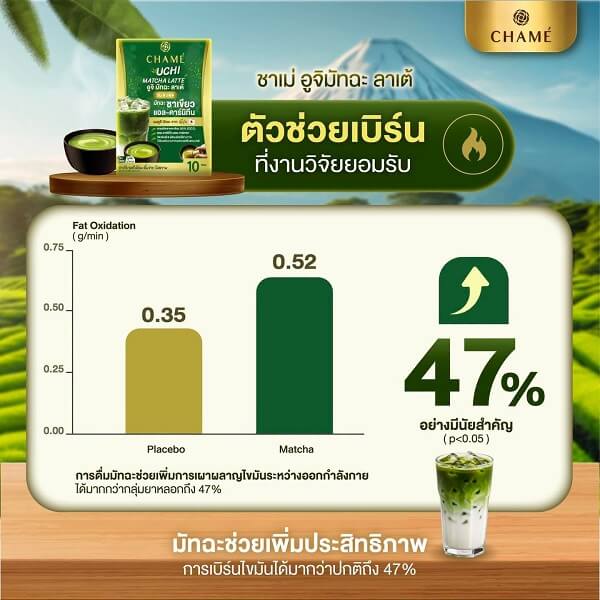 Chame Uchi Matcha Latte - Image 7