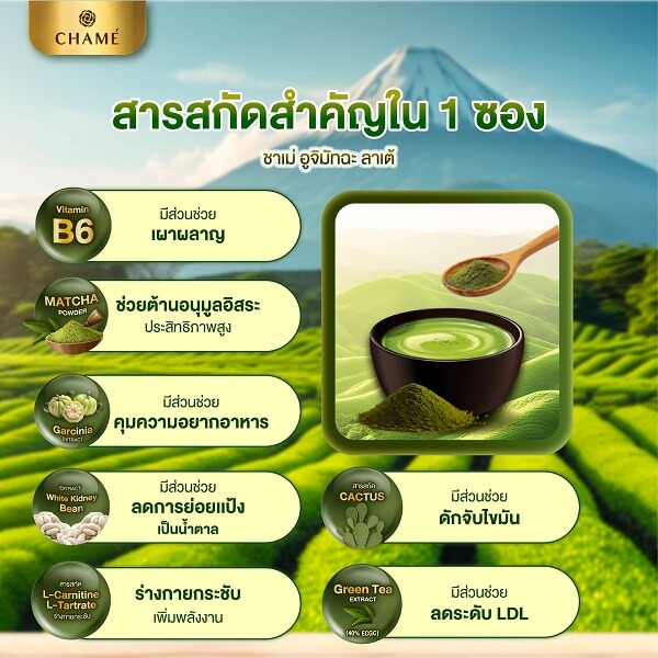 Chame Uchi Matcha Latte - Image 8