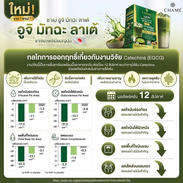 Chame Uchi Matcha Latte - Image 9