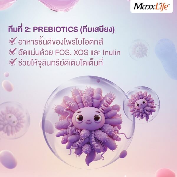 Maxxflow Probiotics Jelly - Image 7