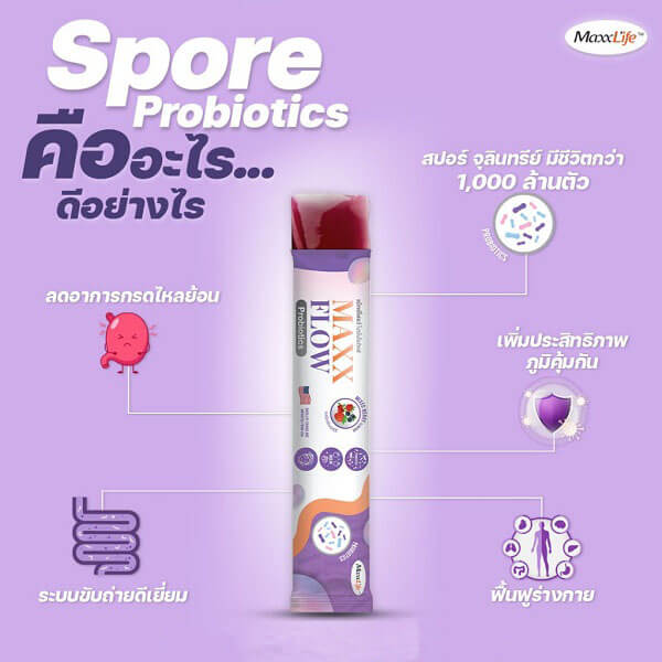 Maxxflow Probiotics Jelly - Image 8