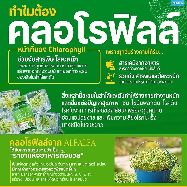 Mana DripME Fiber Chlorophyll Gummies - Image 5