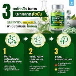 Mana DripME Green Tea Extract
