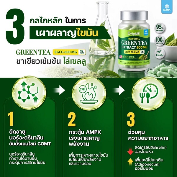 Mana DripME Green Tea Extract