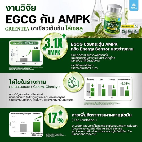 Mana DripME Green Tea Extract - Image 9